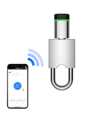 e-Padlock EXLC-PL