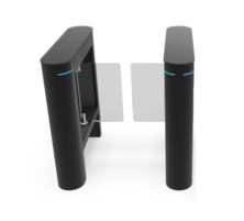 Speedgate BS-SF100L RAL