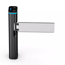 Swing gate BU-DS225GL-BK